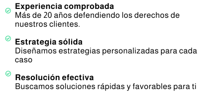 Litigio descripcion